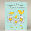 Sweet & Snarky Greeting Cards CO